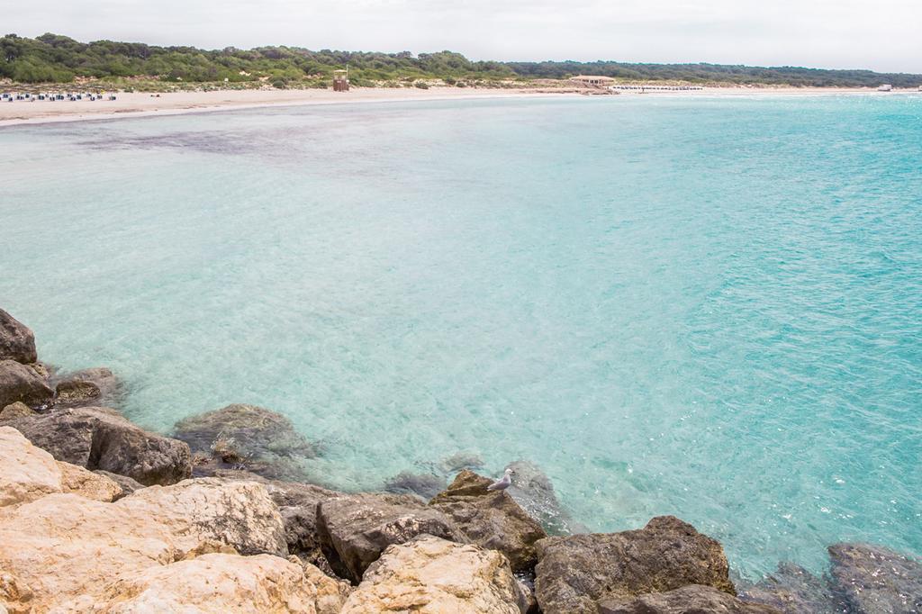 Can Roques Blanques * Campos (Mallorca)